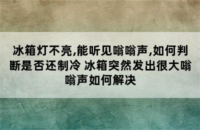 冰箱灯不亮,能听见嗡嗡声,如何判断是否还制冷 冰箱突然发出很大嗡嗡声如何解决